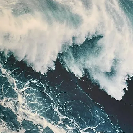 아파트 Sea Rose *